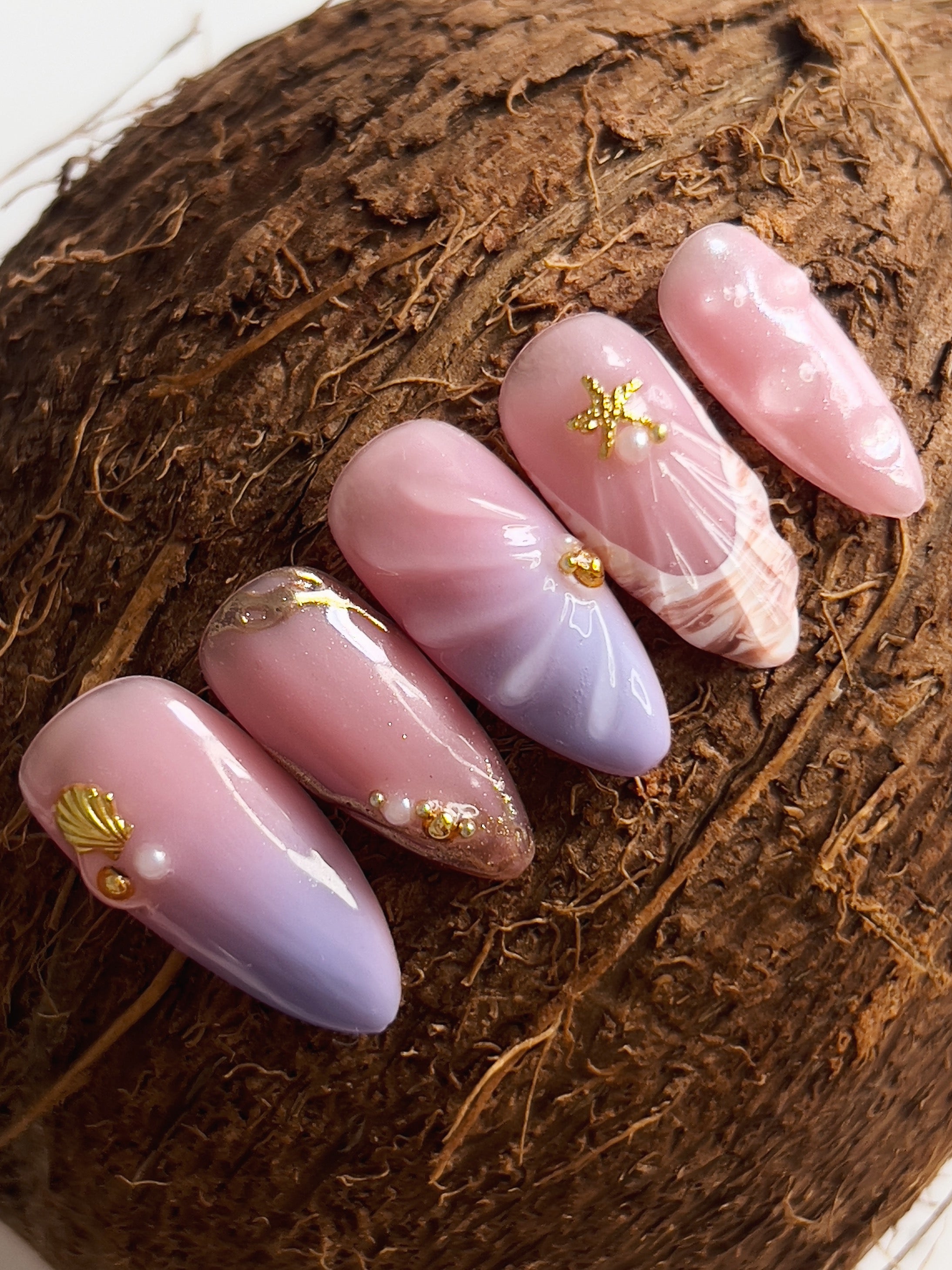 LAVENDER SHELL